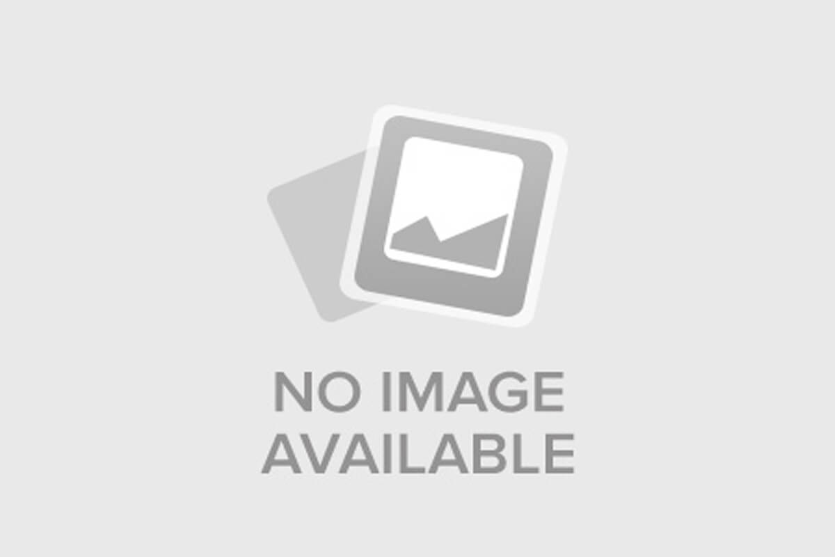 По кромке льда